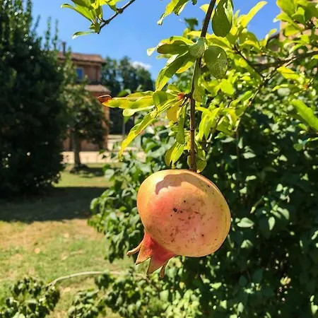 Lejlighed Borgo Sartoni Case Vacanze In Affitto